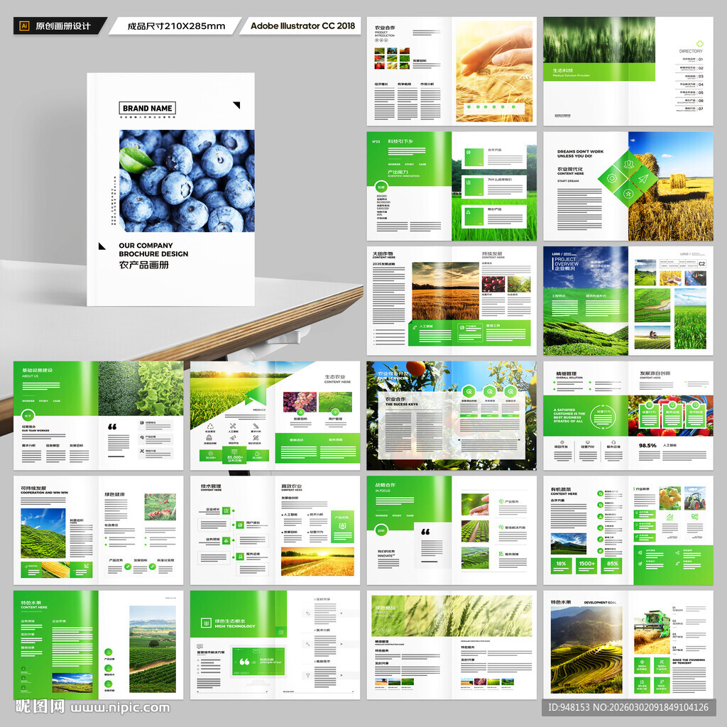 农产品宣传册