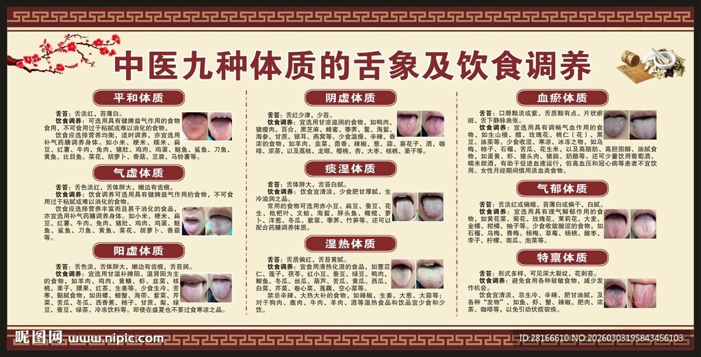 中医体质辨识宣传栏