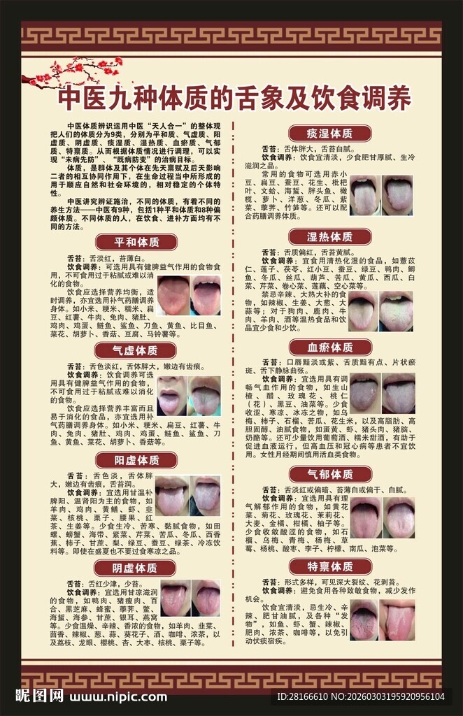 中医体质辨识海报