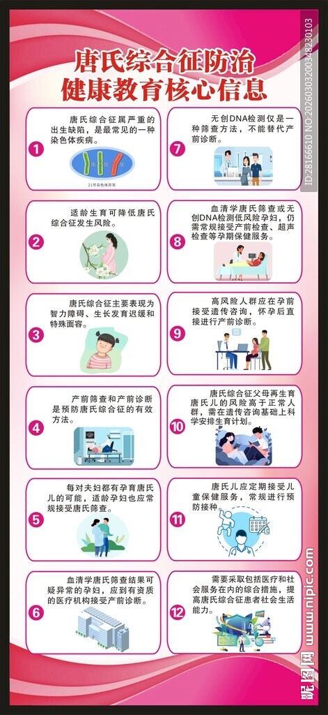 唐氏综合征防治健康教育展架