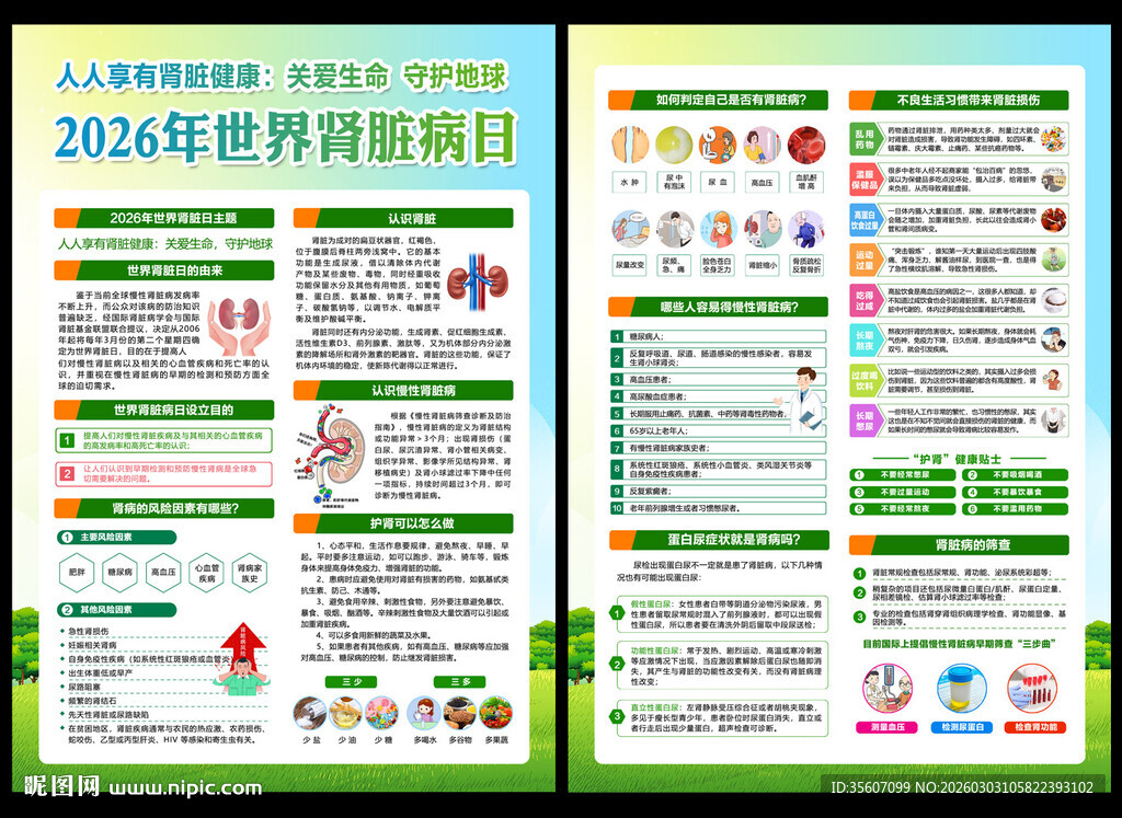 2026世界肾脏日宣传单