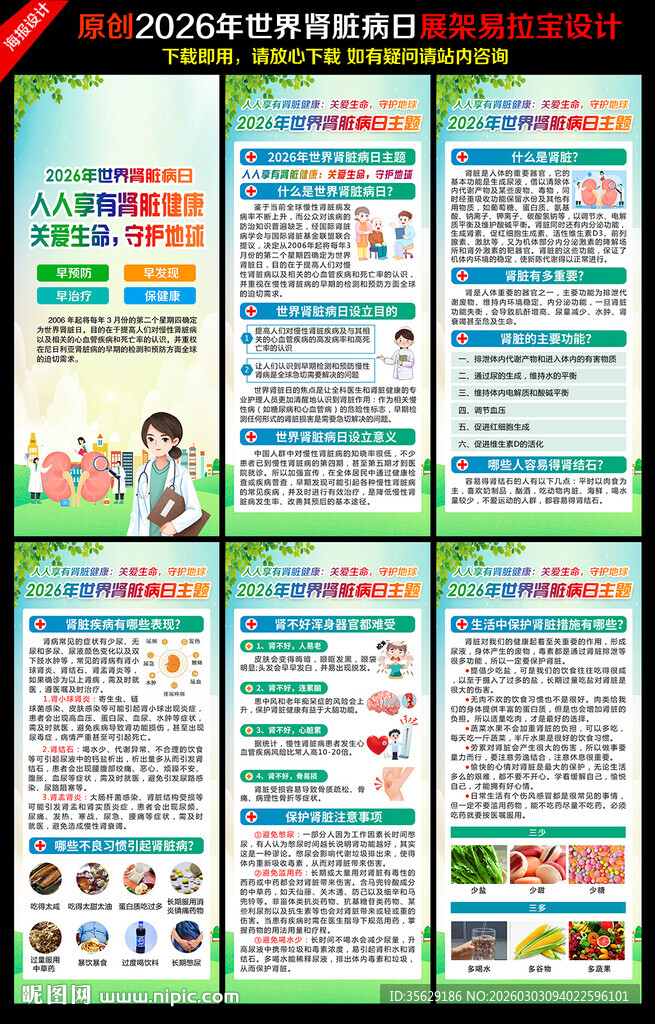 2026年世界肾脏病日展架
