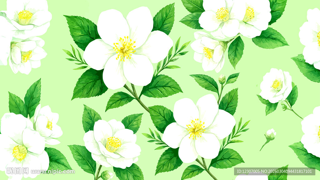 白茶花图案背景