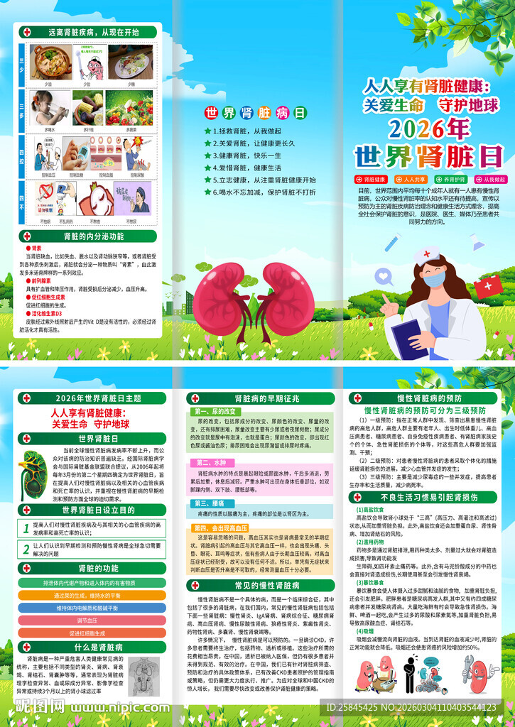 2026年世界肾脏病日折页