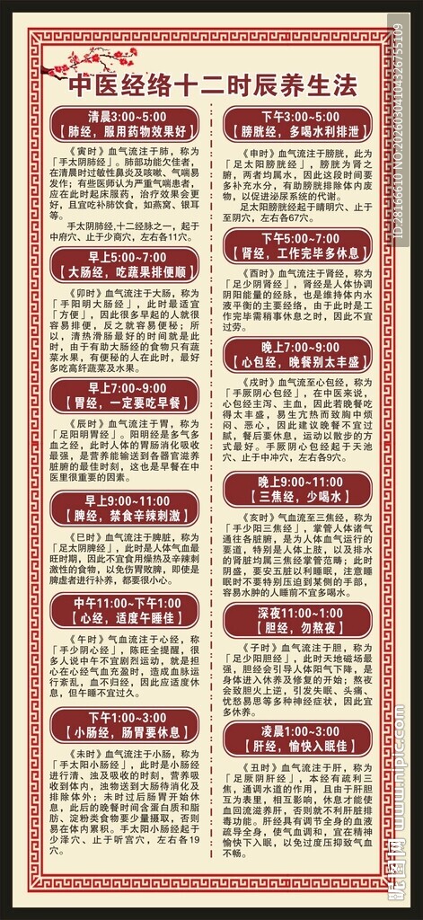 中医健康教育知识X展架