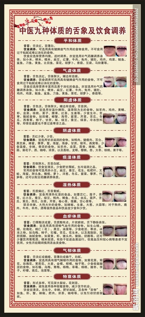 中医九种体质辨识X展架