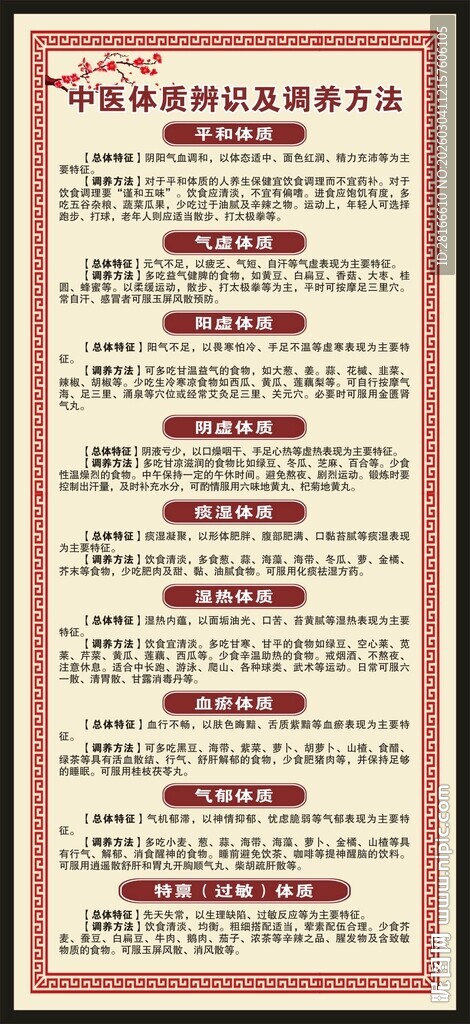 中医九种体质辨识X展架