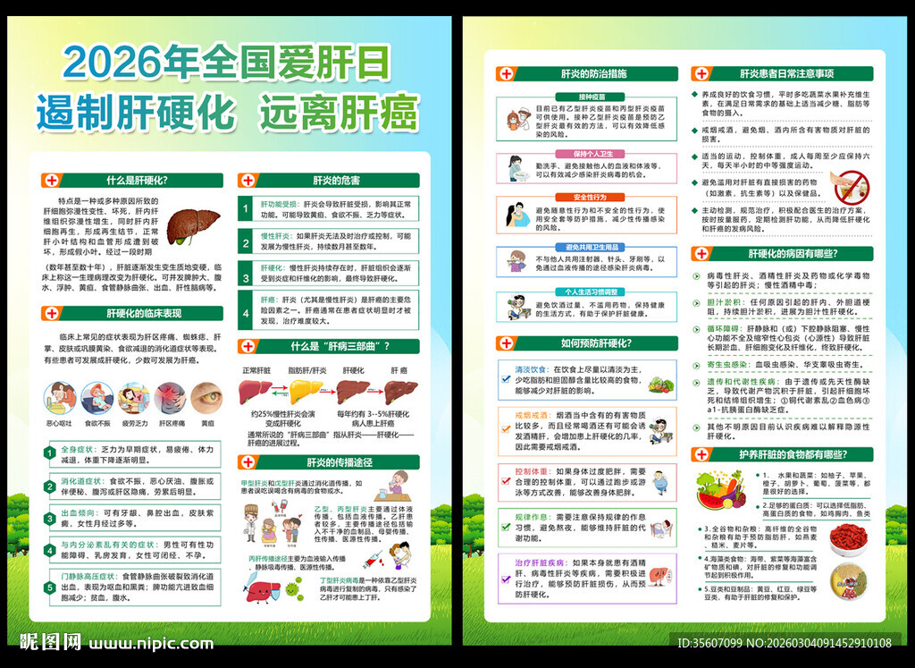 2026年全国爱肝日宣传单