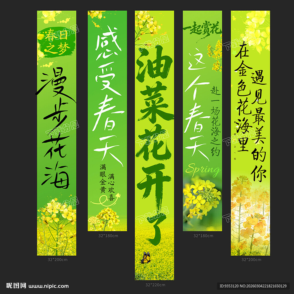 油菜花条幅
