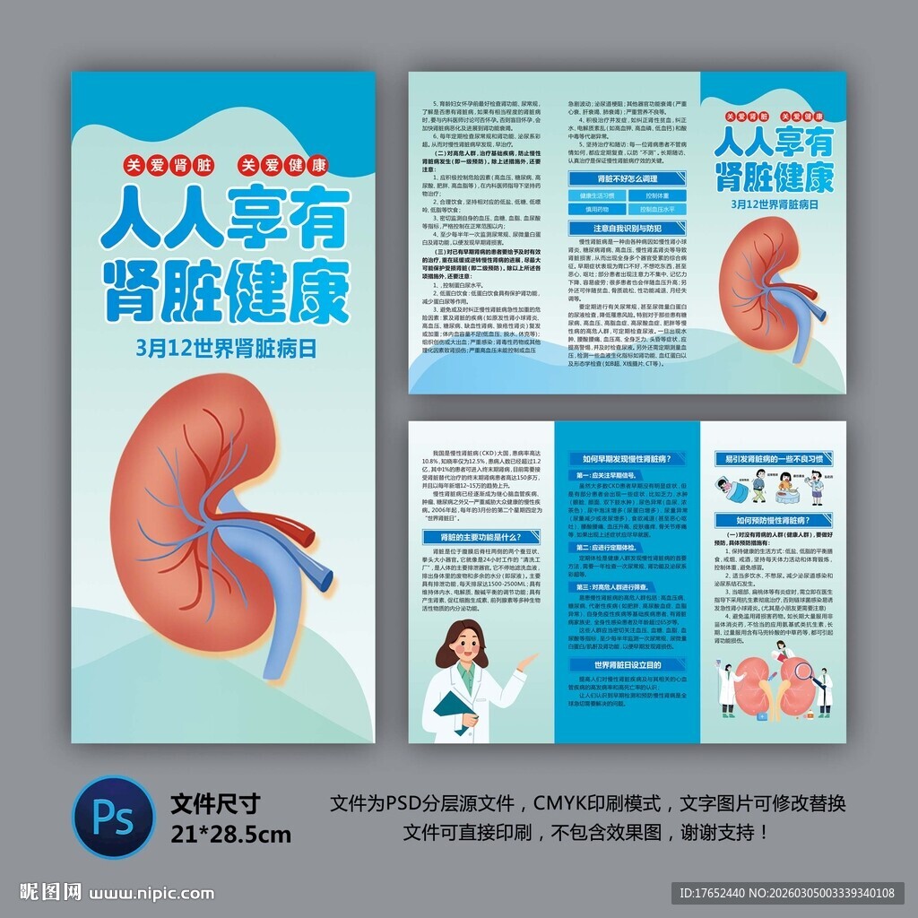 人人享有肾脏健康