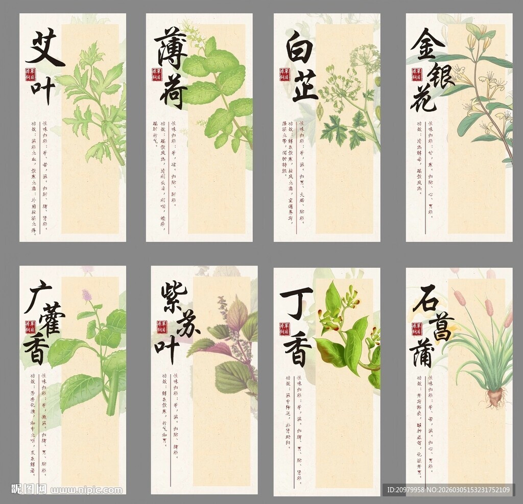 中式传统香料植物展示图