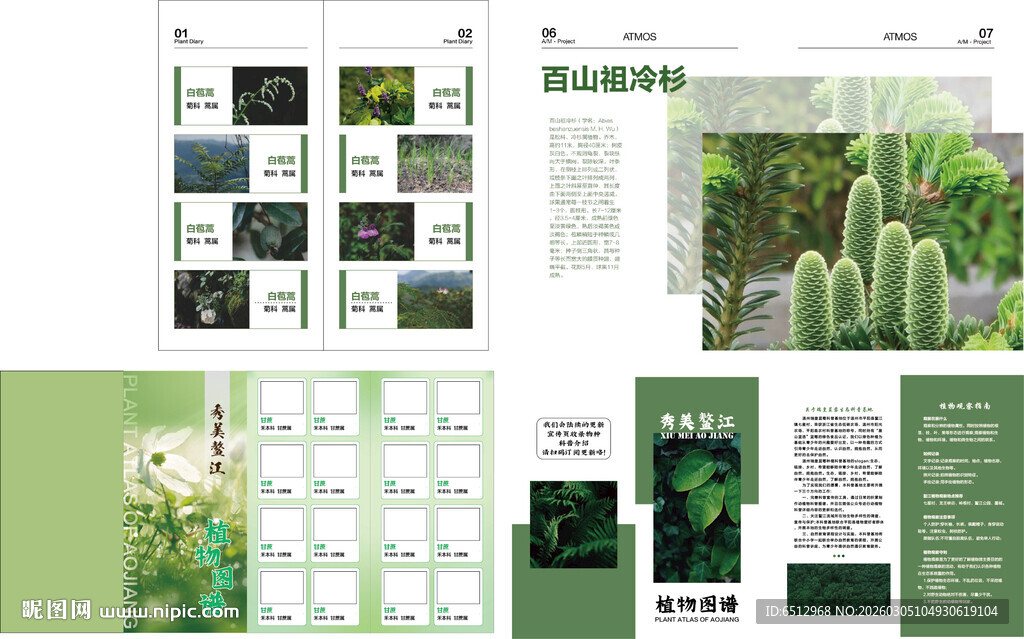 植物图鉴画册