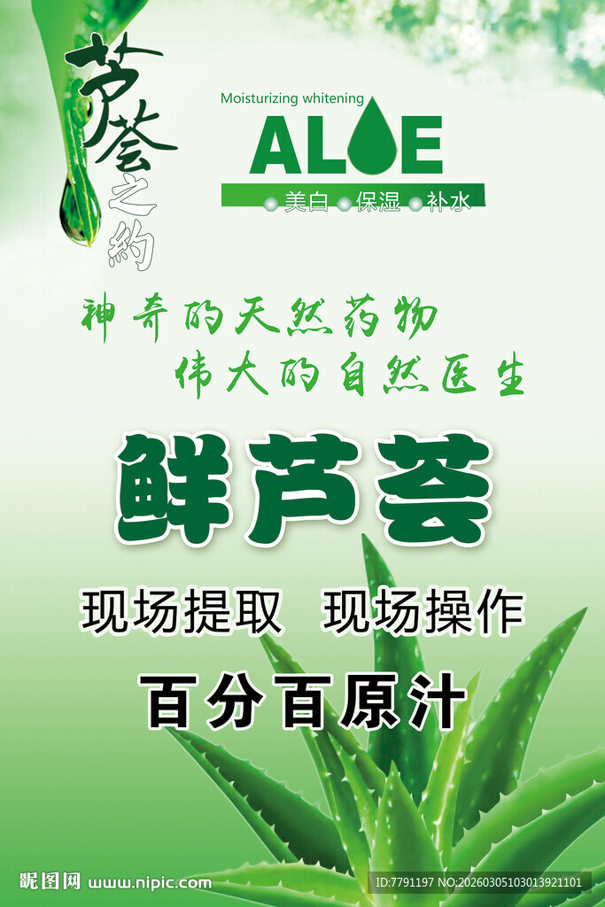鲜芦荟补水海报