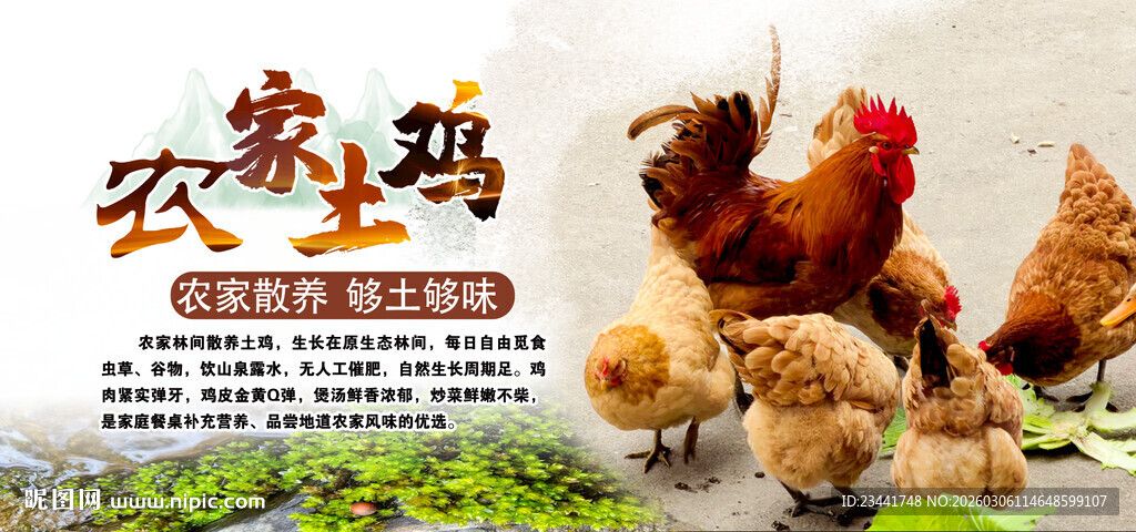 农家土鸡