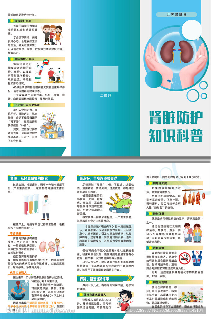 肾脏防护知识科普三折页