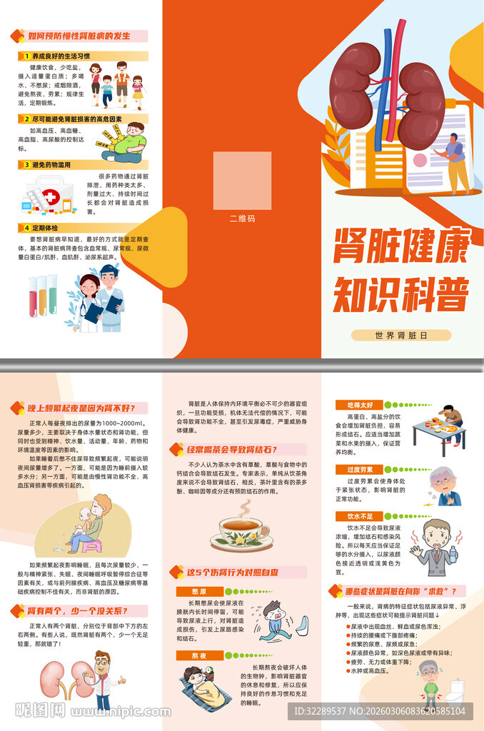 肾脏健康知识科普三折页
