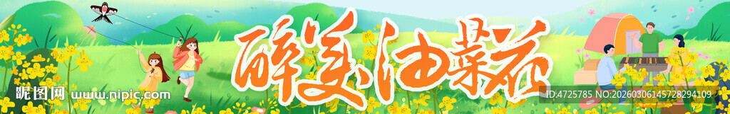油菜花节条幅