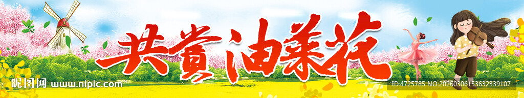 油菜花节横幅 