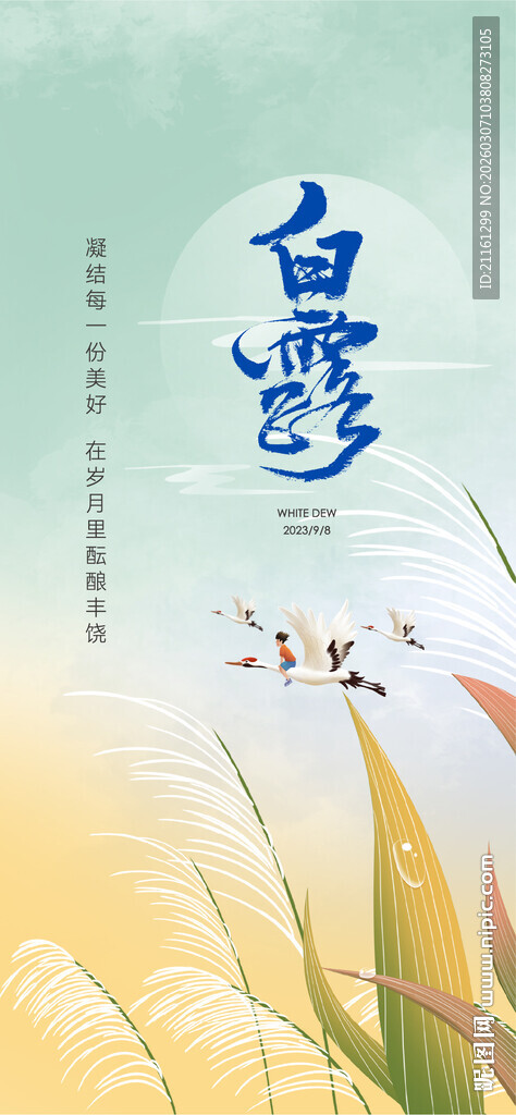 地产白露微信海报