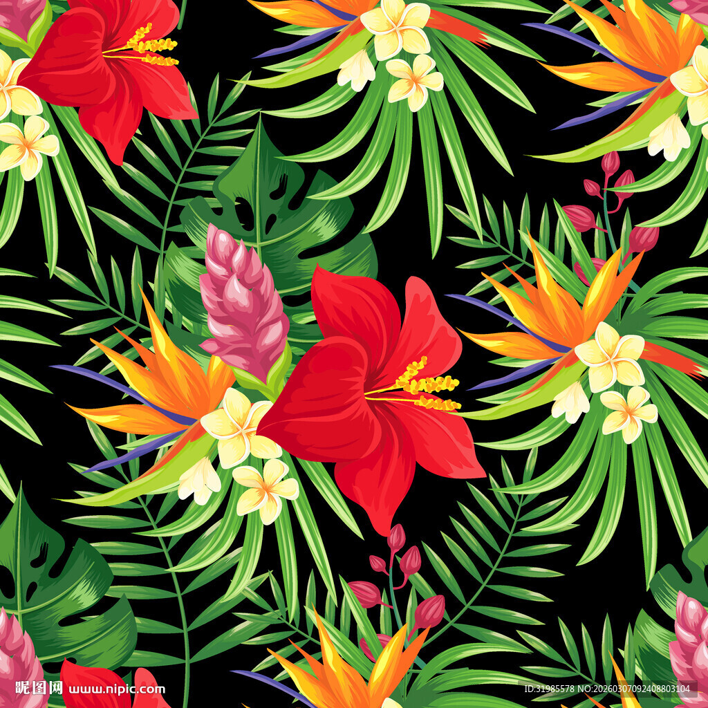 热带植物叶子花