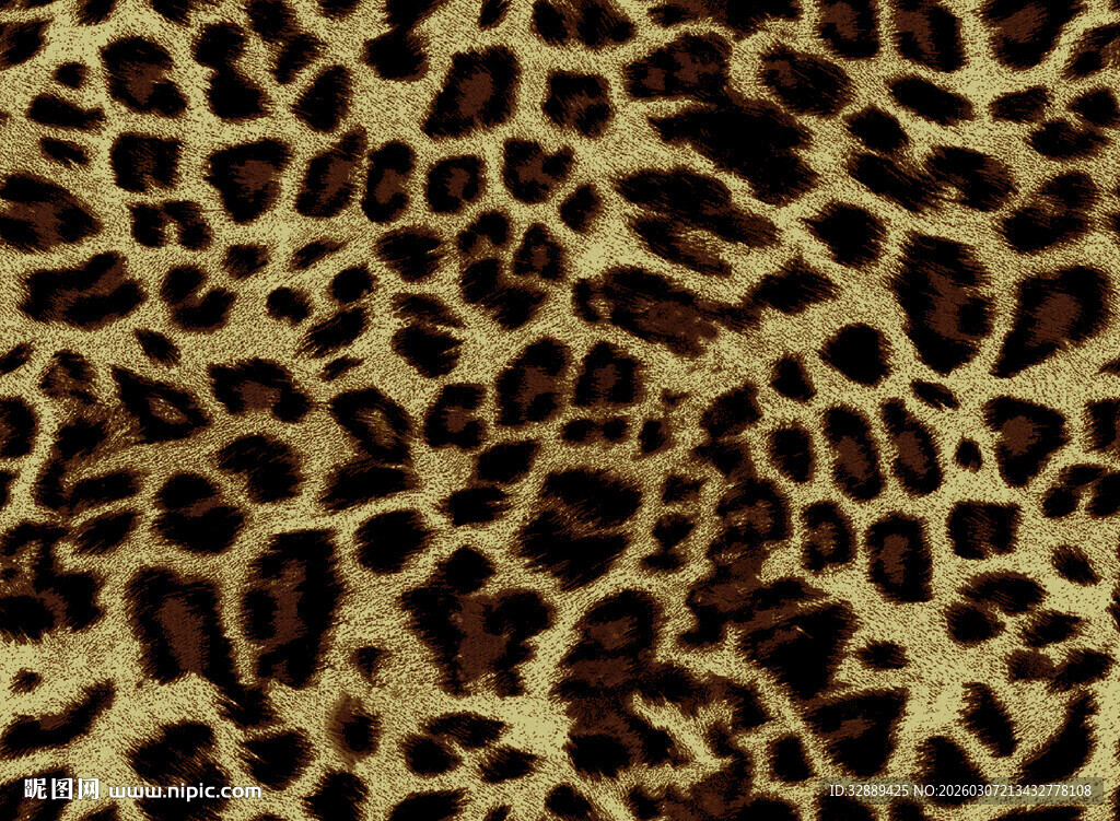 豹纹图案纹理特写
