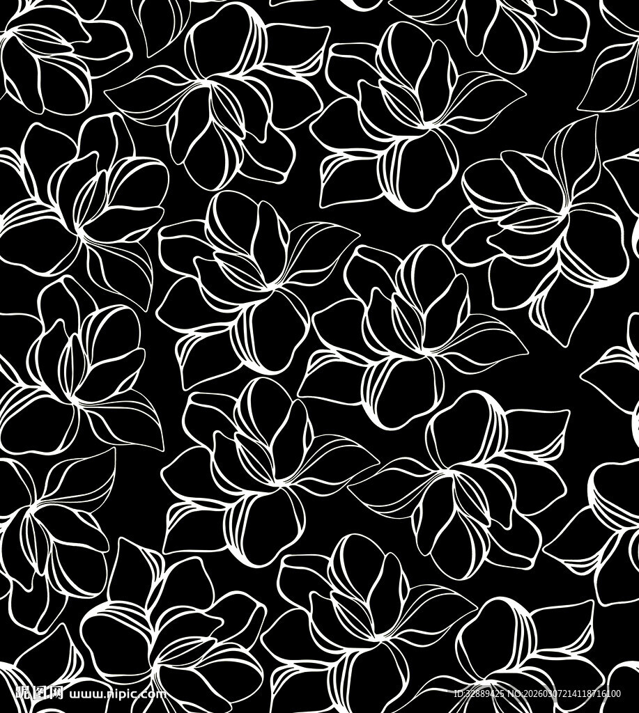 黑白曲线交织抽象图案