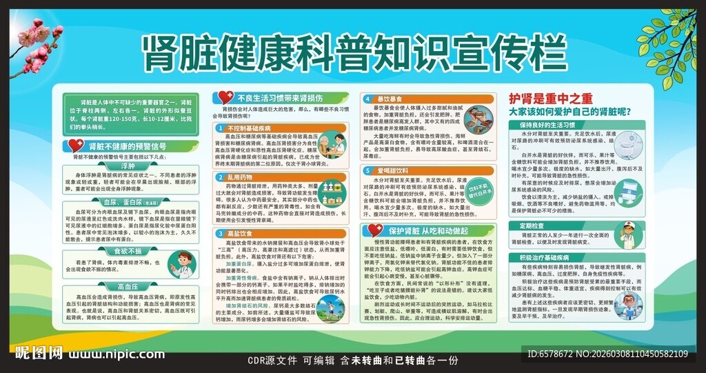 肾脏健康科普知识宣传栏