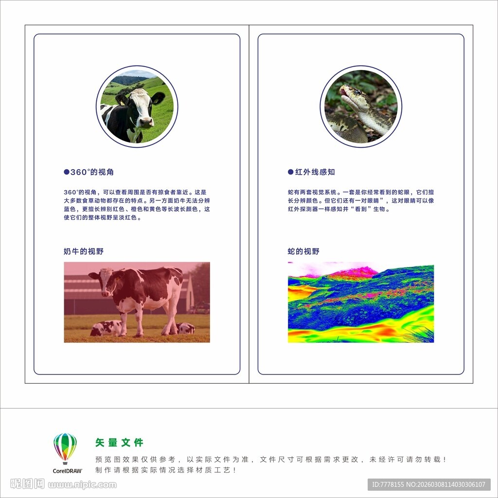 眼健康科普 农业宣传页设计展示