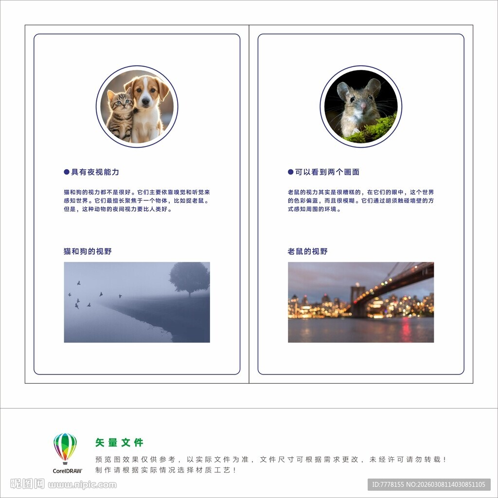 眼健康科普旅游景点宣传页展示