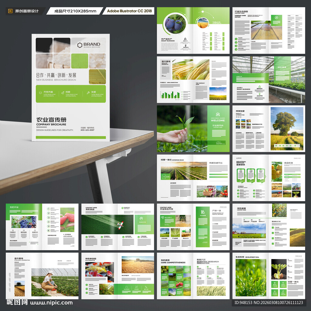 农产品画册