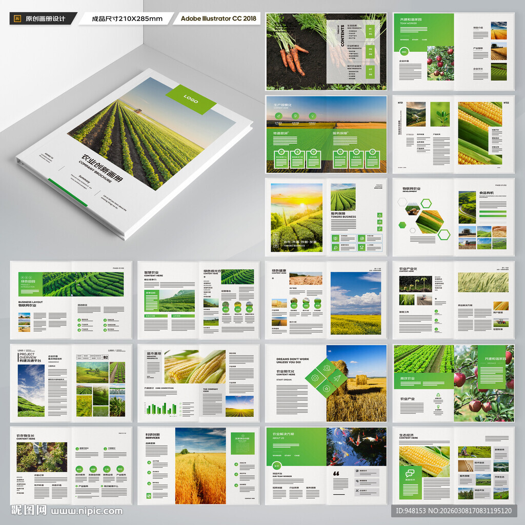 农产品宣传册