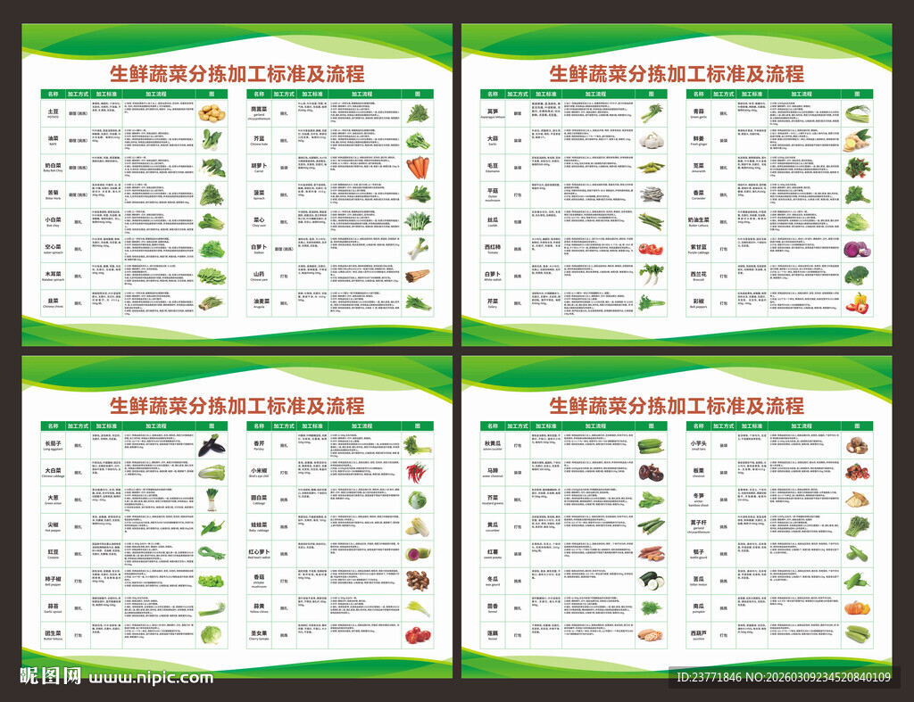 蔬菜分拣加工流程