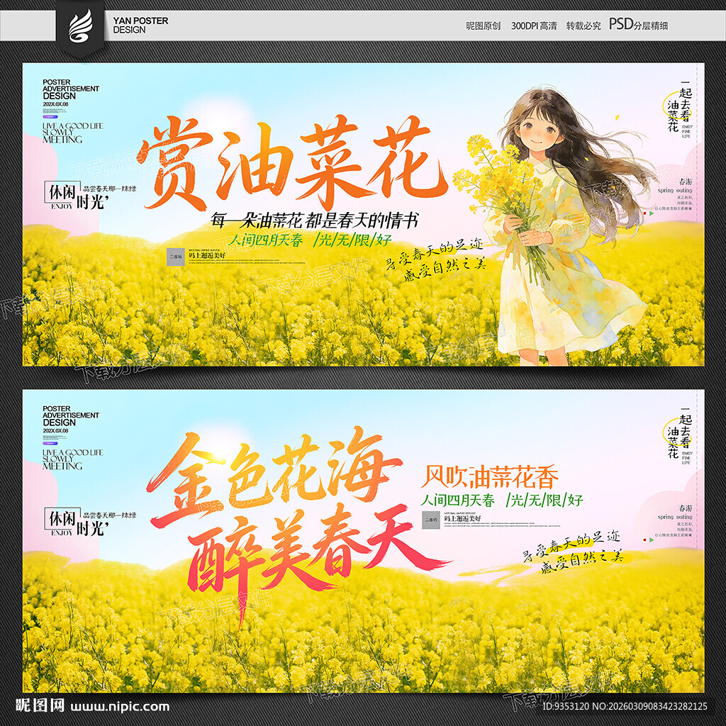 油菜花海报