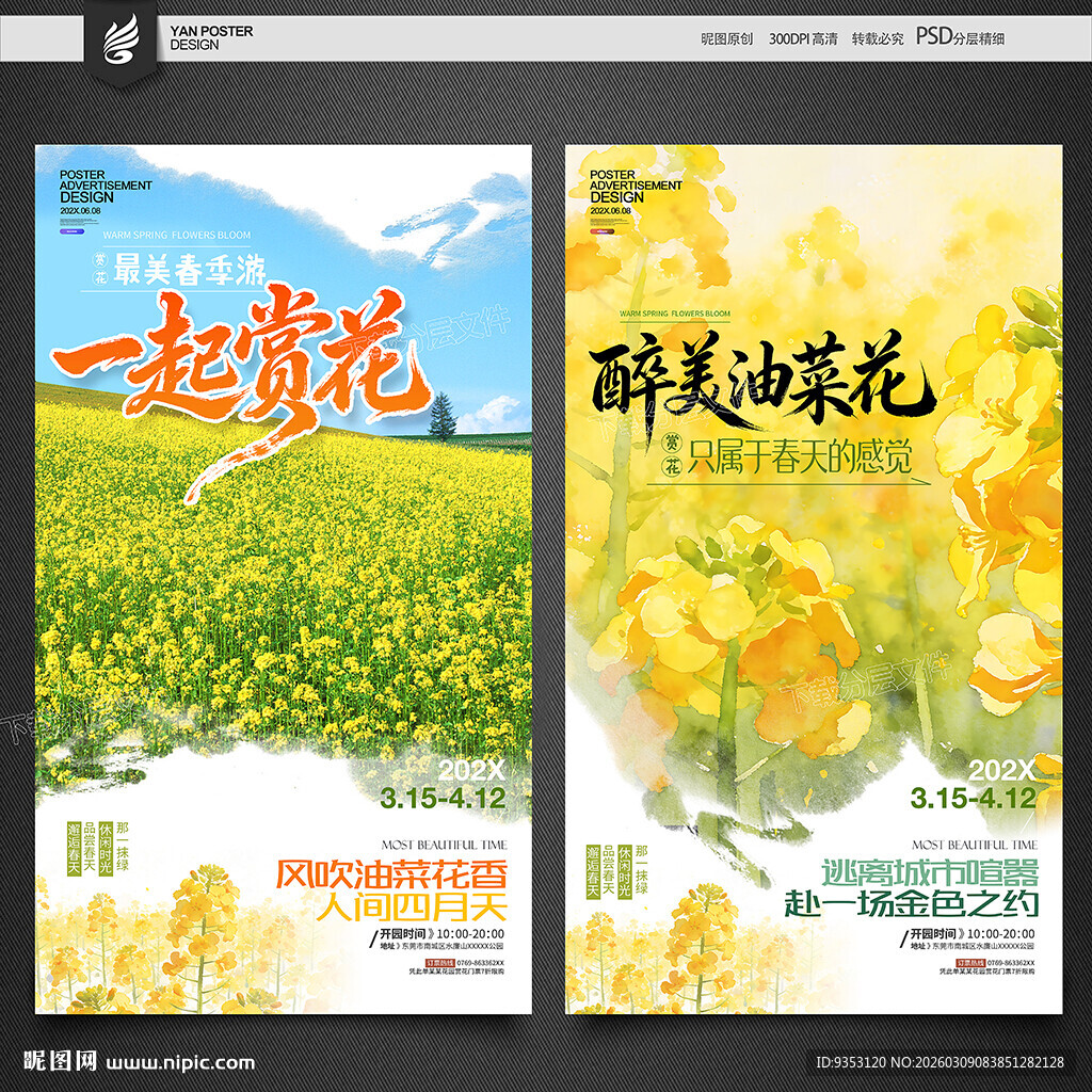 油菜花海报