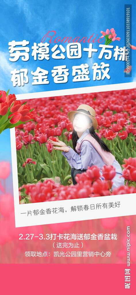 郁金香花海单图