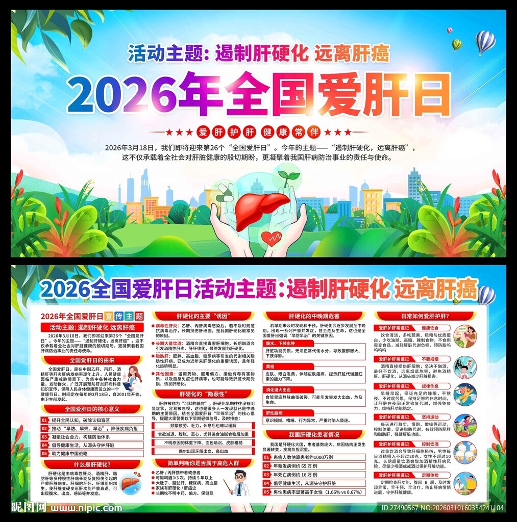 2026年全国爱肝日展板