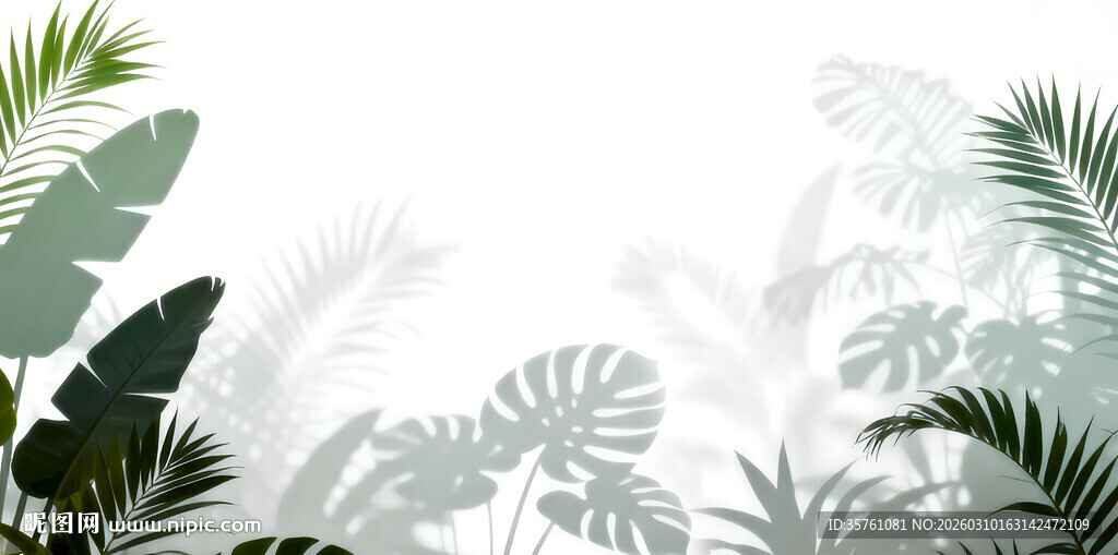 雾气磨砂膜效果绿植贴图