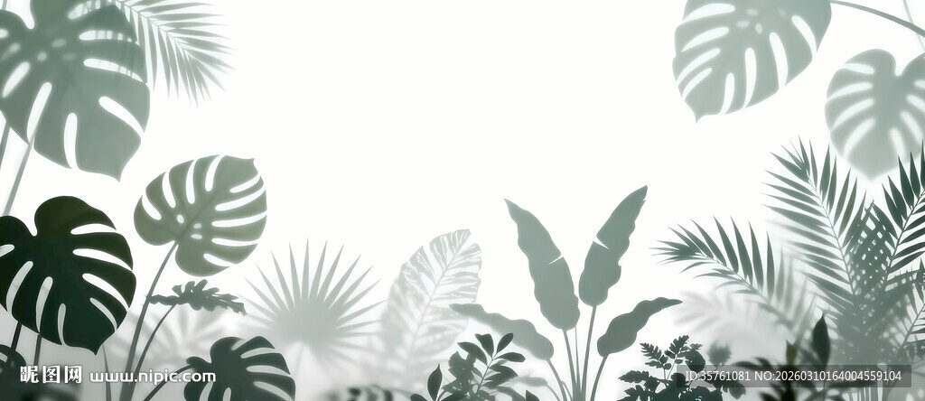 雾气磨砂膜效果绿植贴图