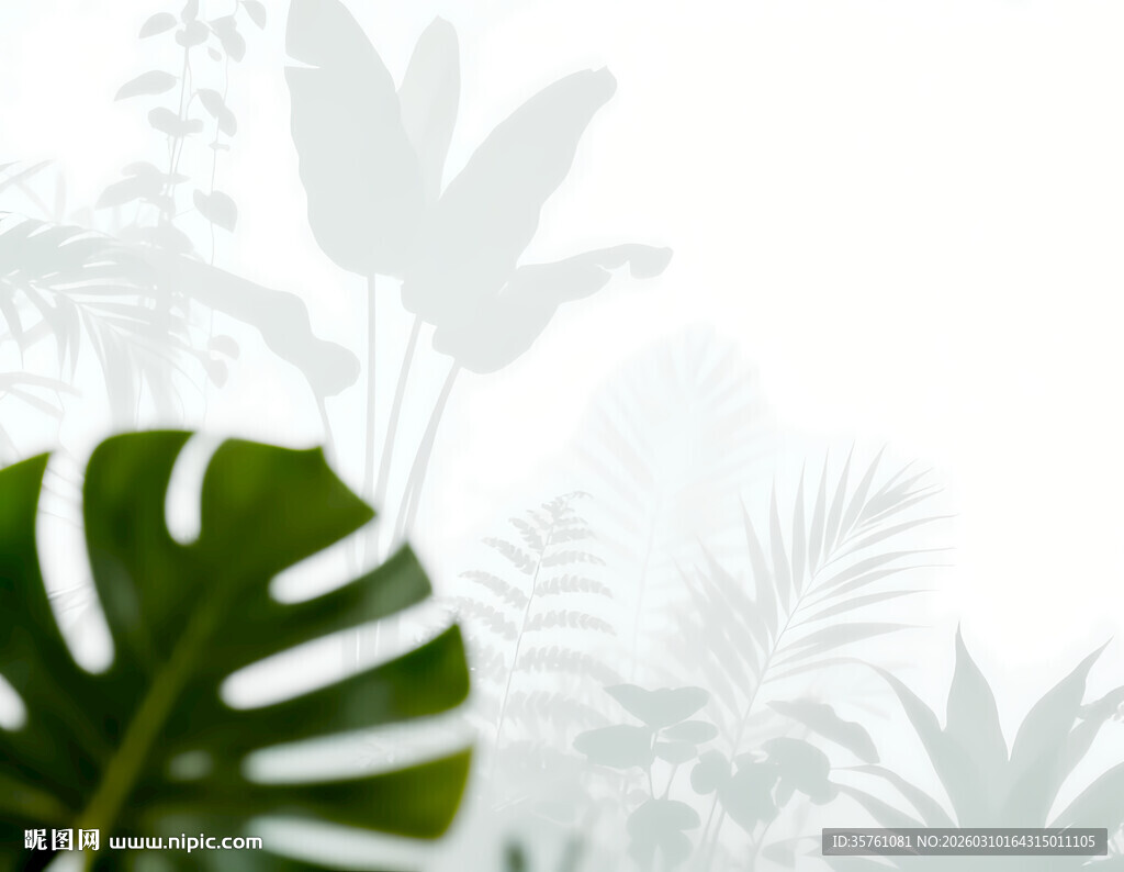 雾气磨砂膜效果绿植贴图