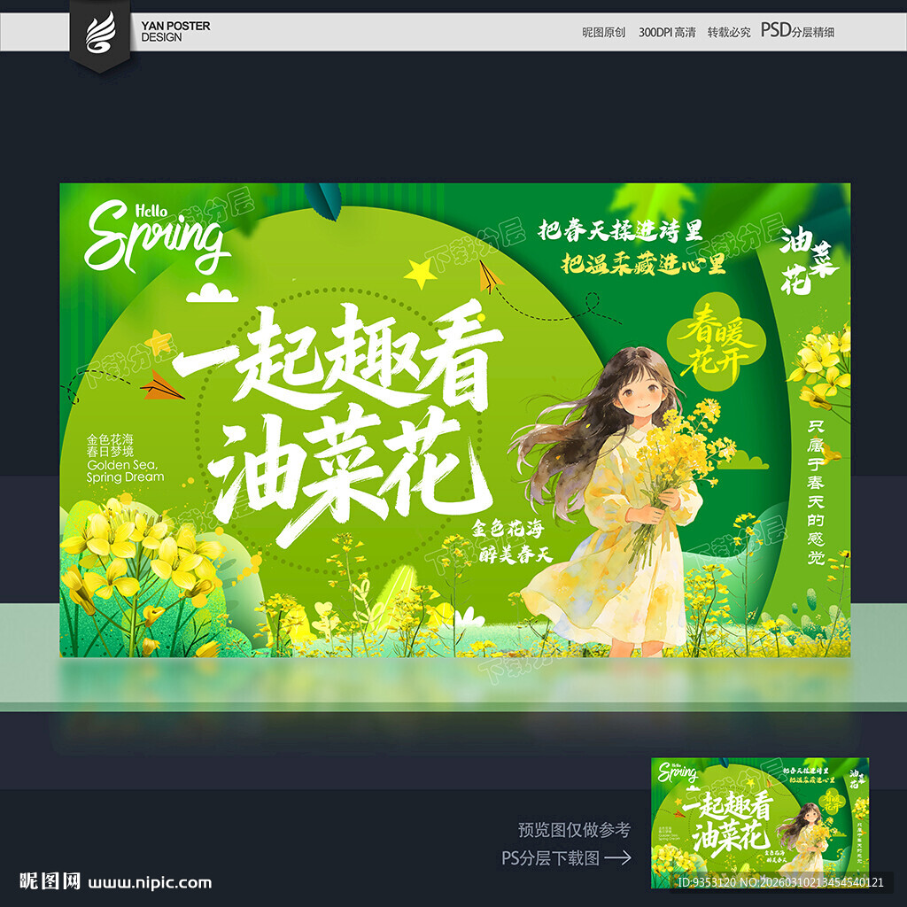 油菜花