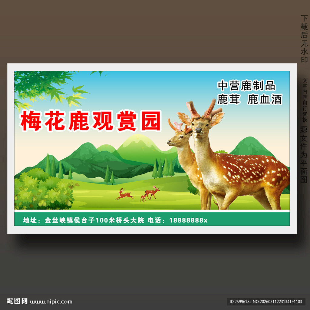 梅花鹿展板