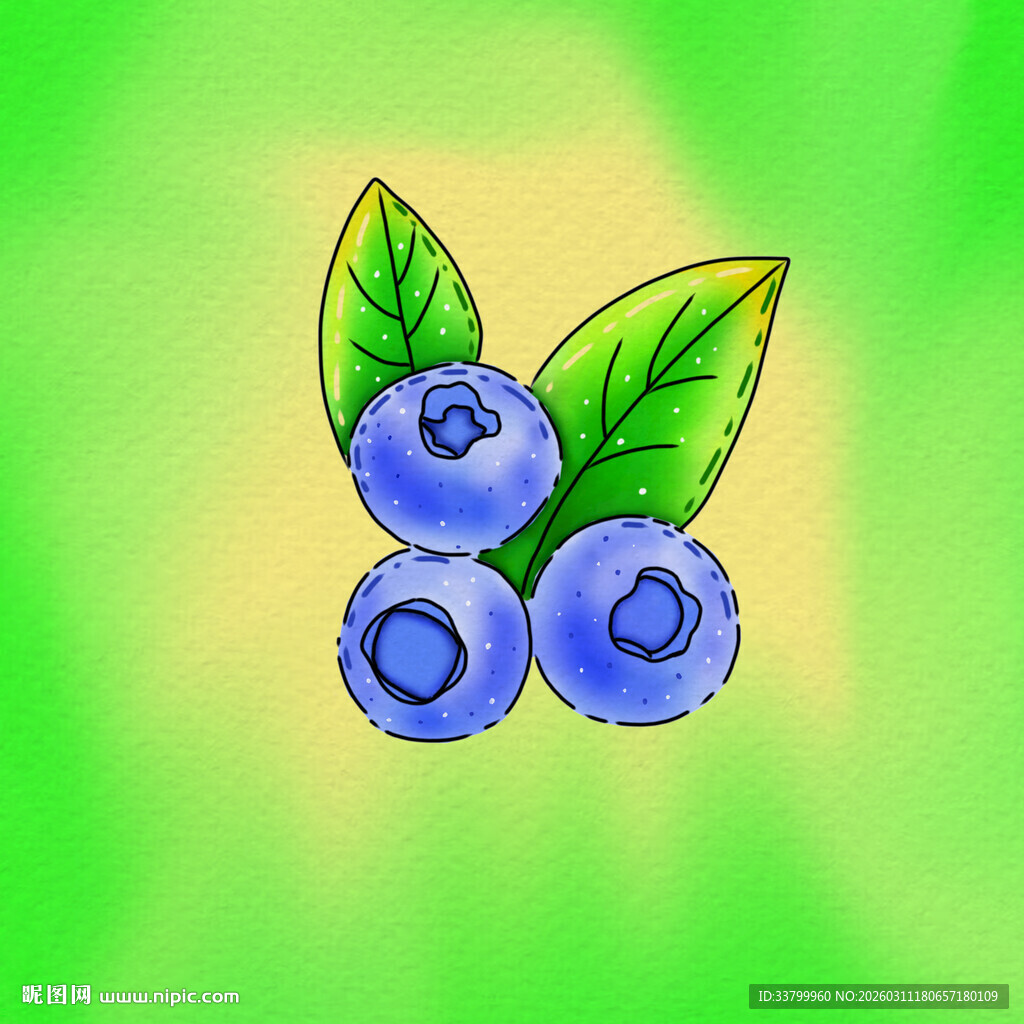 手绘蓝莓与绿叶
