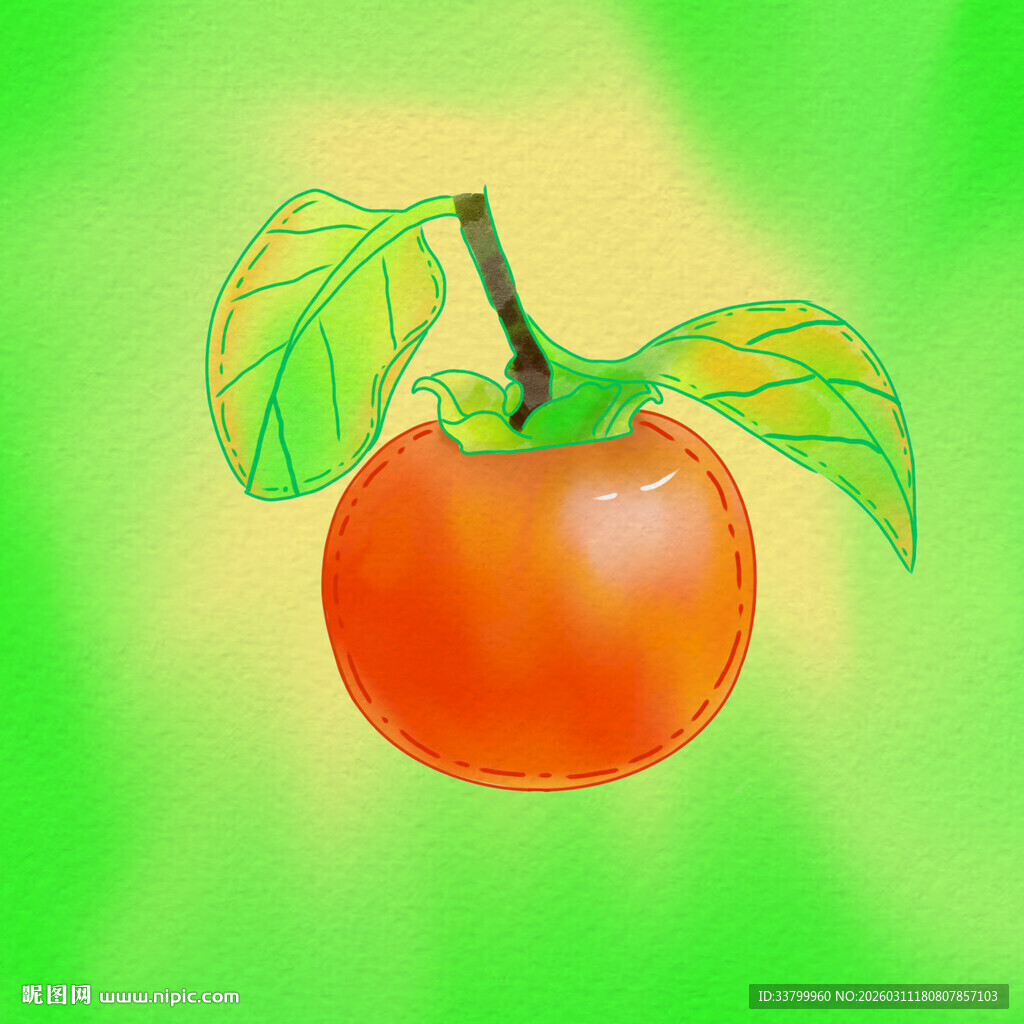 手绘鲜艳柿子带翠绿叶片