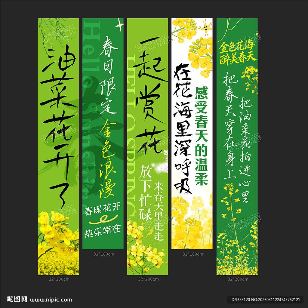 油菜花条幅