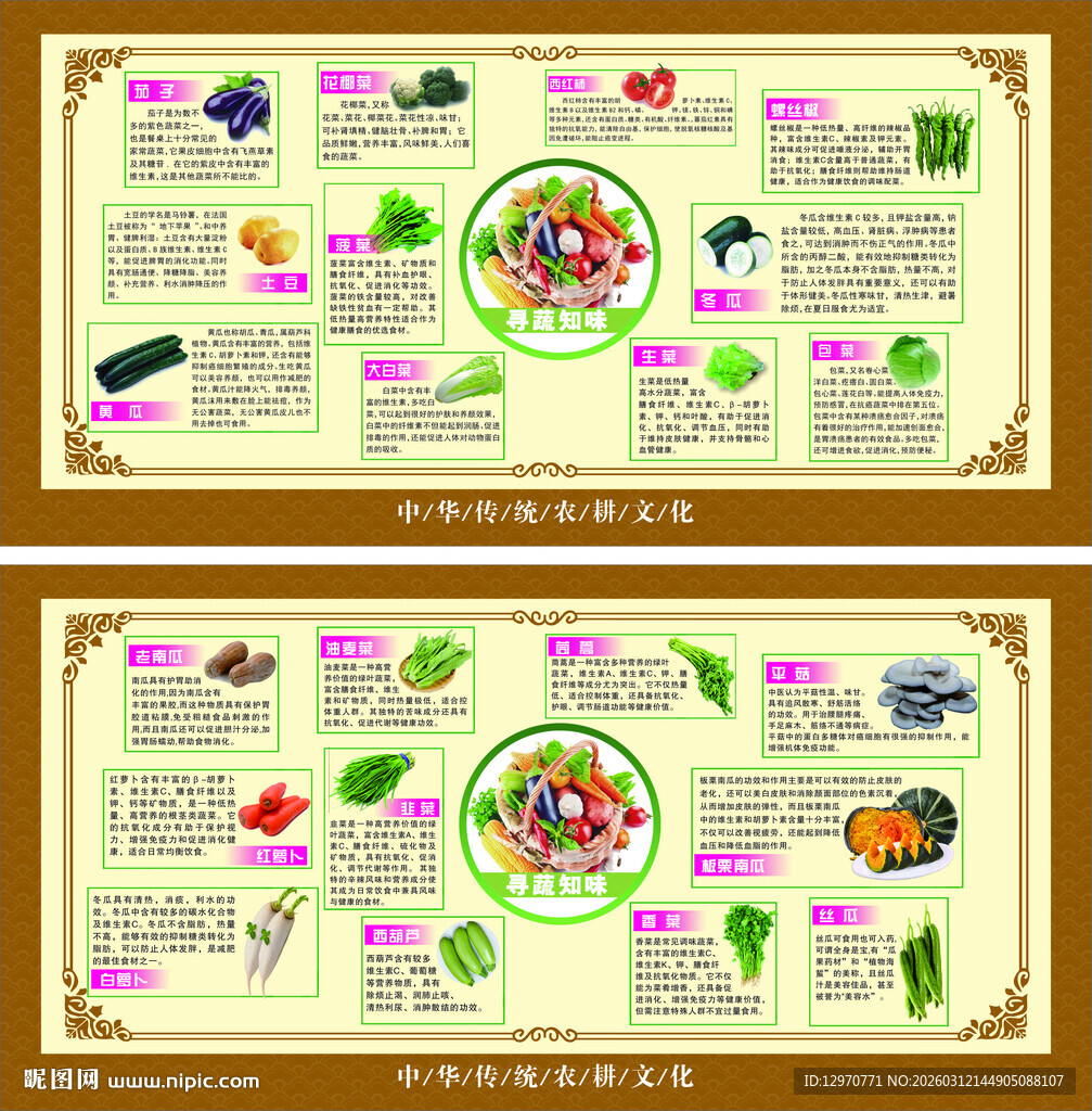 营养膳食搭配宣传海报