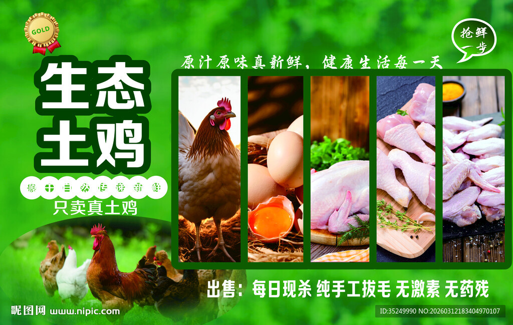 土鸡海报生态土鸡海报设计