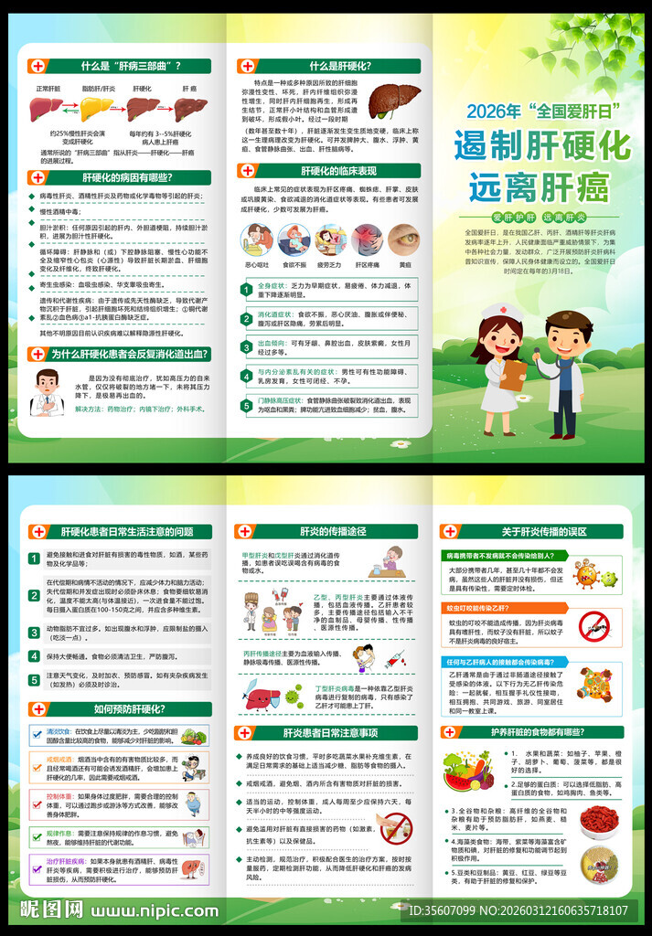2026年全国爱肝日三折页