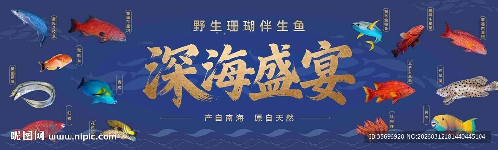 深海盛宴海底奇幻景象海鲜