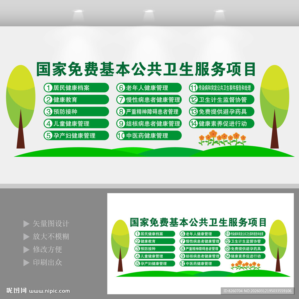 国家基本公共卫生服务项目