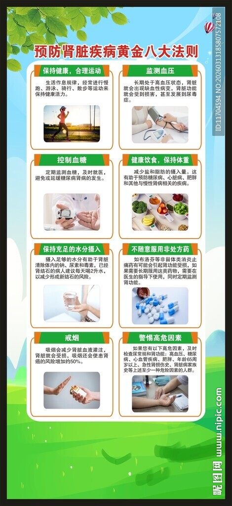 世界肾脏日展架